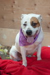 Sporty Spots - Photo 3