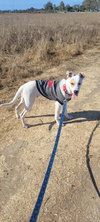 Morgan - Photo 24