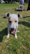 Morgan - Photo 25