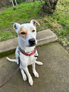 Morgan - Photo 8