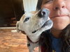 Morgan - Photo 9