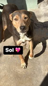 Sol - Photo 13