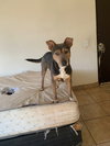 Sol - Photo 10