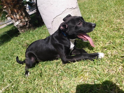Katie photo 6