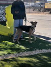 Gonzo - Photo 18