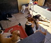 Gonzo - Photo 10