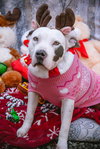 Blanca - Photo 4