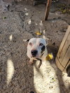 Blanca - Photo 11