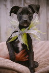 Janalyn - Photo 16