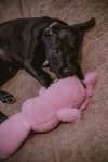 Janalyn - Photo 23