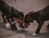 Janalyn - Photo 25