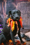 Janalyn - Photo 11