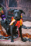 Janalyn - Photo 12
