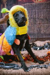 Janalyn - Photo 22
