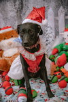 Janalyn - Photo 9