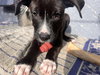Jenny - Photo 20