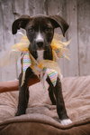 Jenny - Photo 15