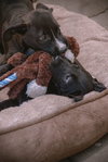 Jenny - Photo 22