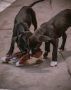 Jenny - Photo 23