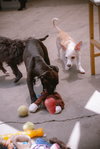 Jenny - Photo 24