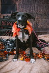 Jenny - Photo 9