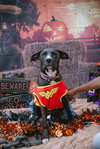 Jenny - Photo 12