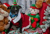 Jenny - Photo 8