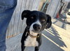 Layka - Photo 7