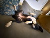 Layka - Photo 12