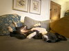 Layka - Photo 14