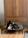 Layka - Photo 16