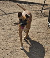 Tina - Photo 5