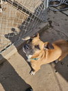 Tina - Photo 11