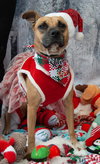Tina - Photo 4