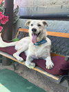 Popi Mike - Photo 5