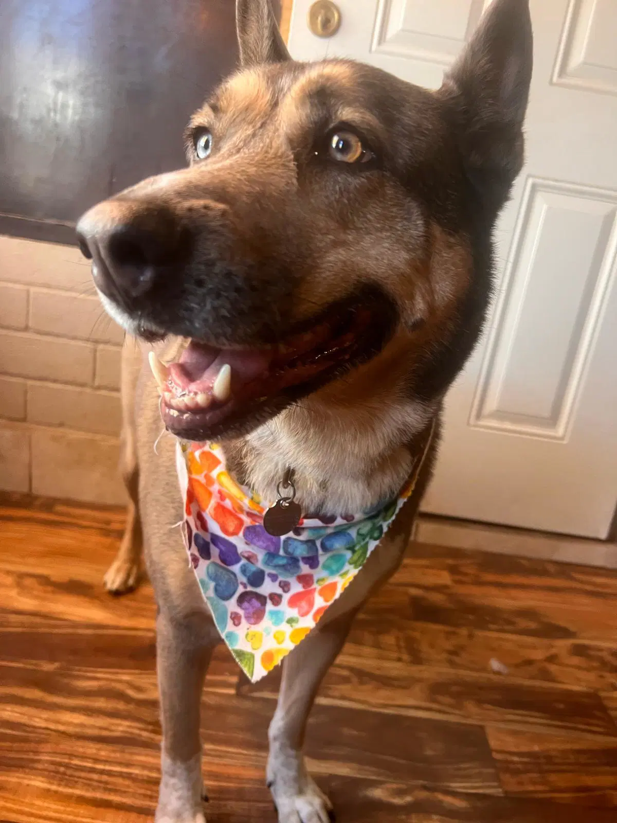 Batman image 3