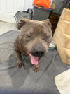 Mimis - Photo 2