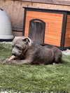 Mimis - Photo 9