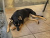 Tita - Photo 4