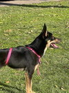 Tita - Photo 9