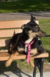 Tita - Photo 6