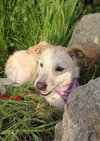 Frida - Photo 7