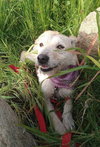 Frida - Photo 11