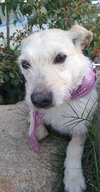 Frida - Photo 13