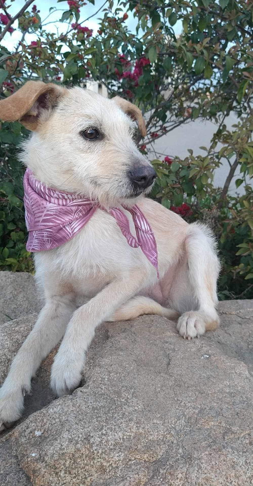 Frida photo 6