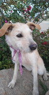 Frida - Photo 15