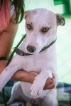 Monica - Photo 2