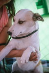 Monica - Photo 5