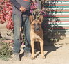 Duke G - Photo 3