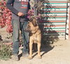 Duke G - Photo 4